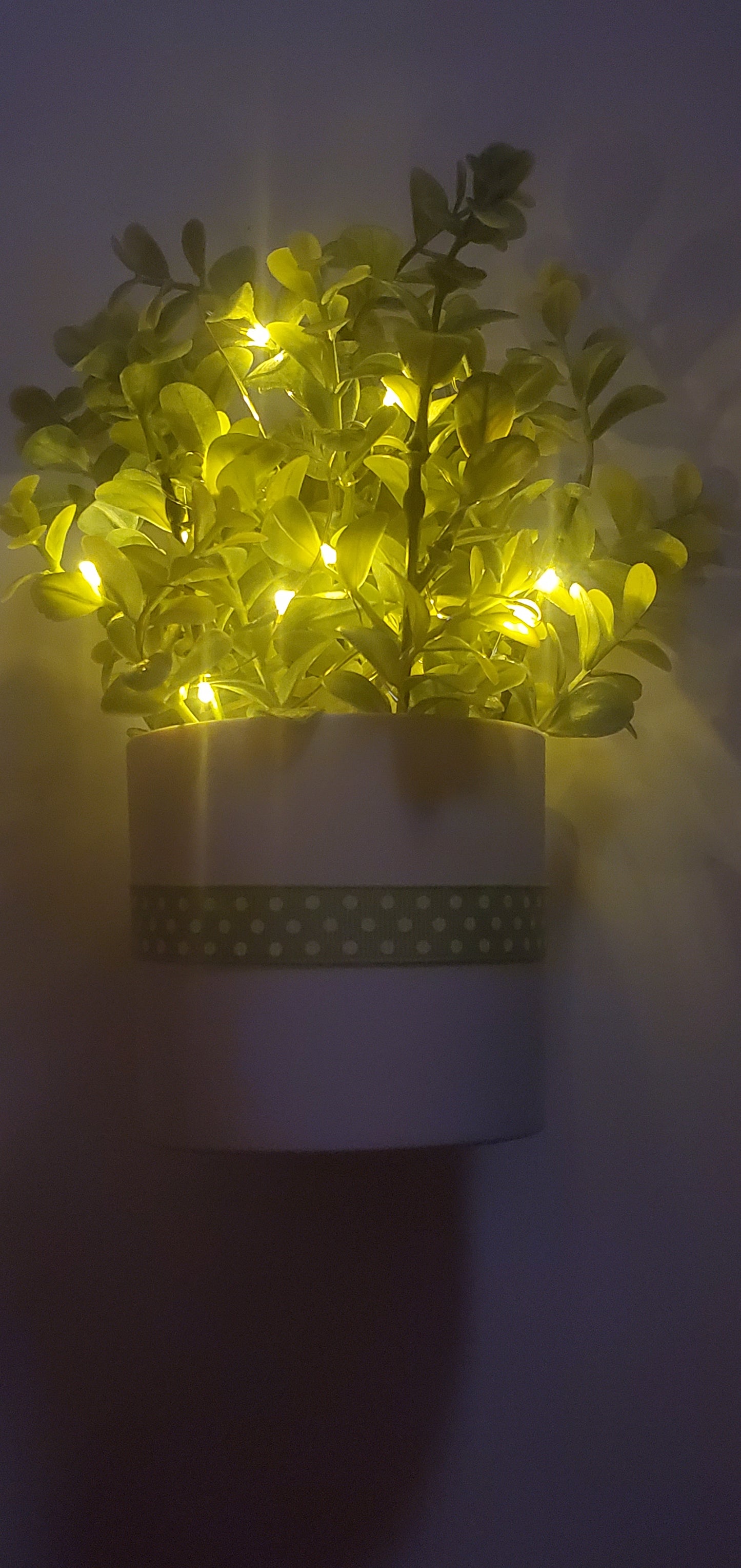 Light Up Plant