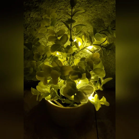 Light Up Plant